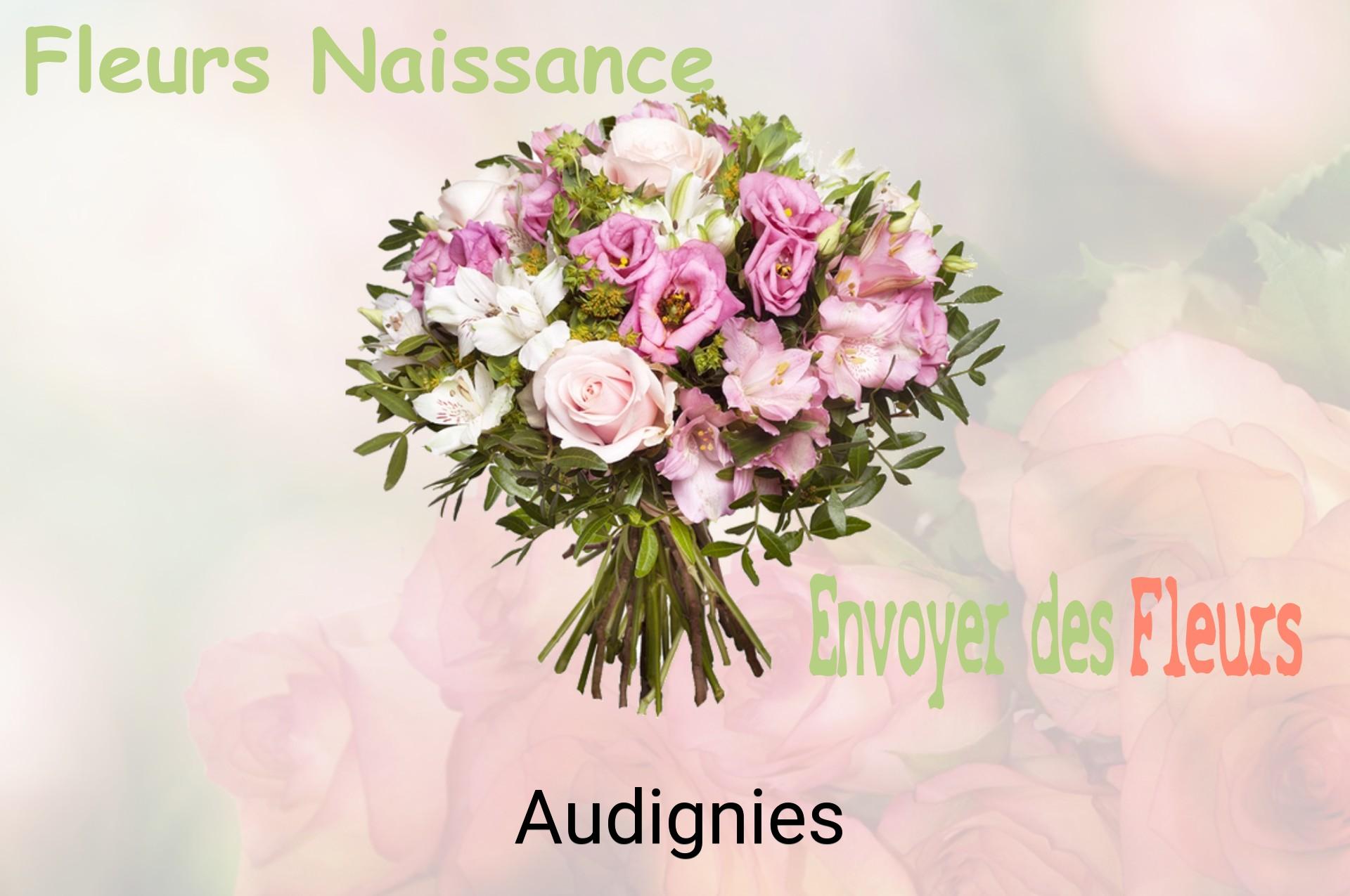 Bouquet de fleurs de naissance livré à Audignies