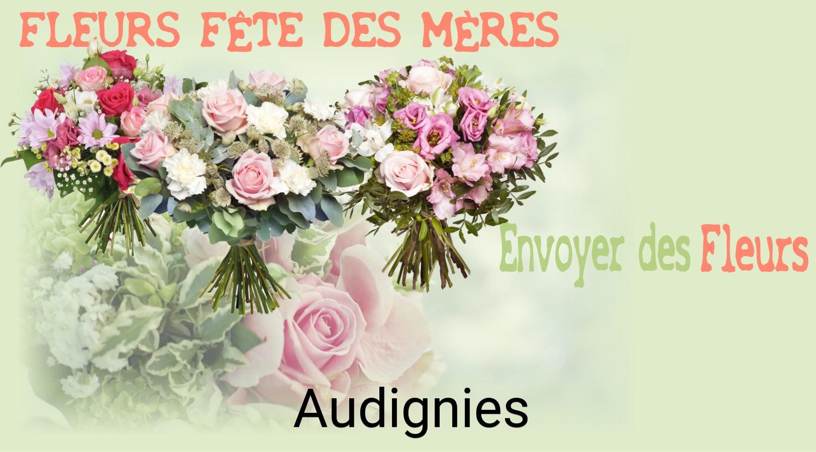 Bouquet de Fête des Mères livré à Audignies